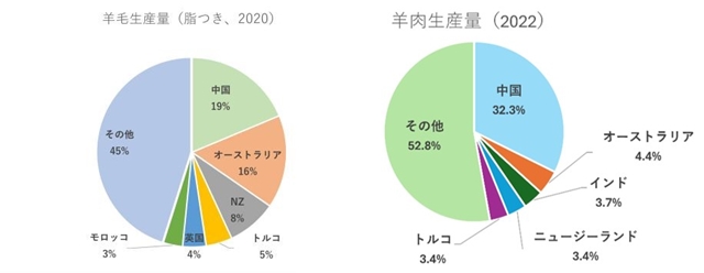 sNZの羊.jpg