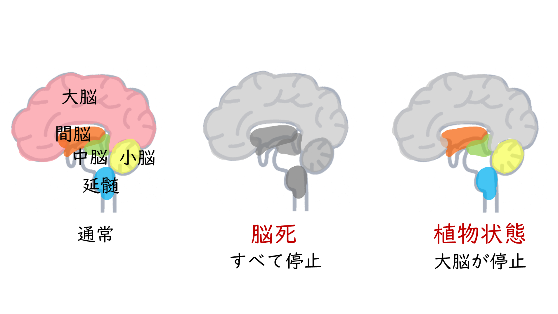 スクリーンショット 22.png