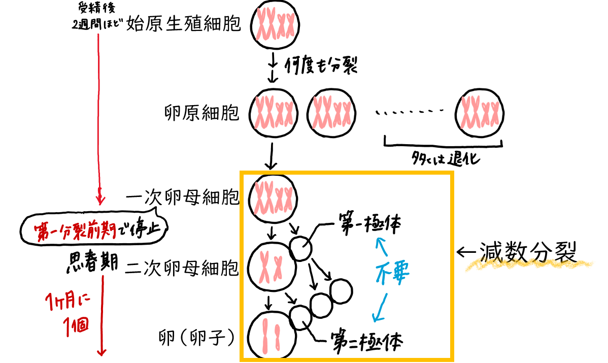 スクリーンショット 2.png