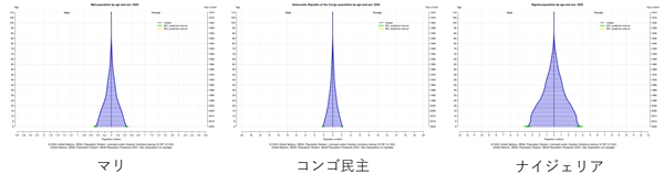 sアフリカの人口ピラミッド.jpg