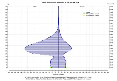 sPopulation by age in 2024　UAE.jpg