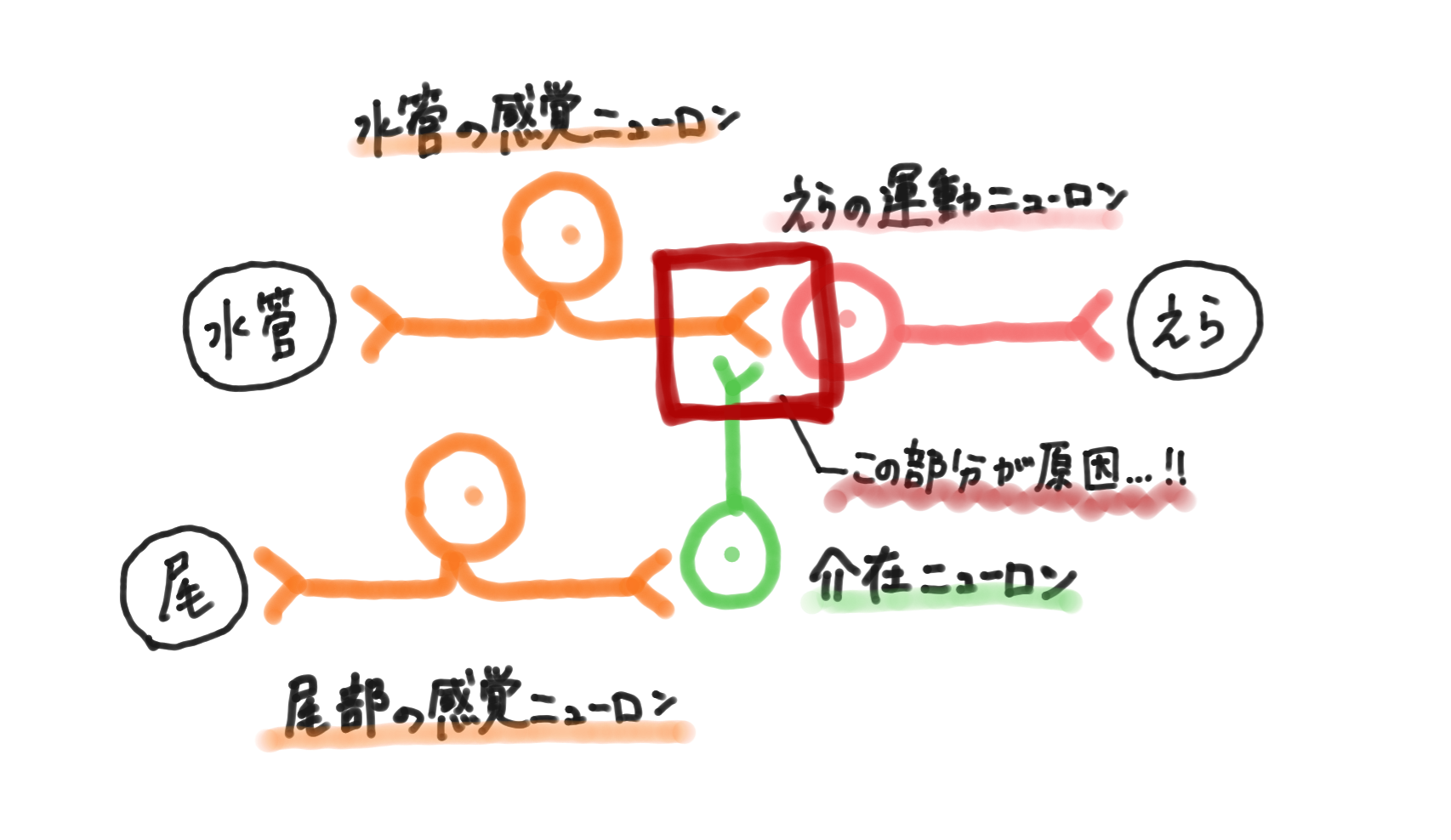 20220531184606.png