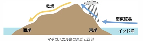 sスクリーンショット 20250323 180233.jpg