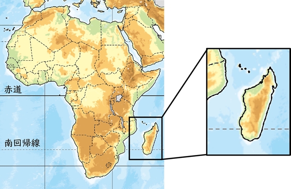 sマダガスカル拡大.jpg