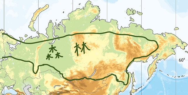 s20241226_040735000_iOS 1.jpg