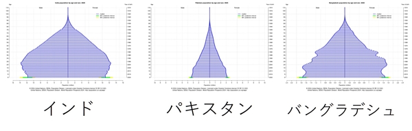 s南アジアの人口ピラミッド.jpg