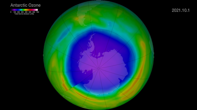 Ozonewatch_2021_SVS31201__2021101ozonefs.png