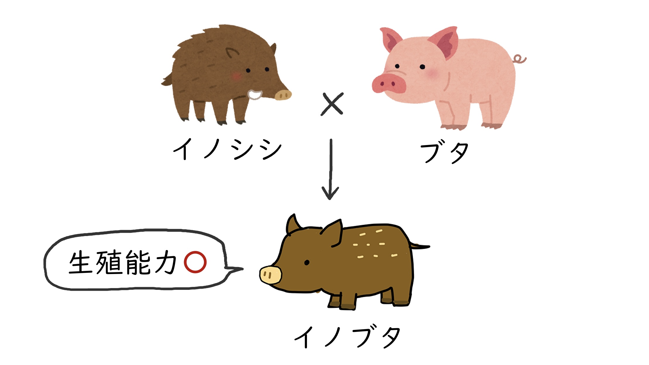 6B8AC19EABC54CFF981290FF89412624.jpeg