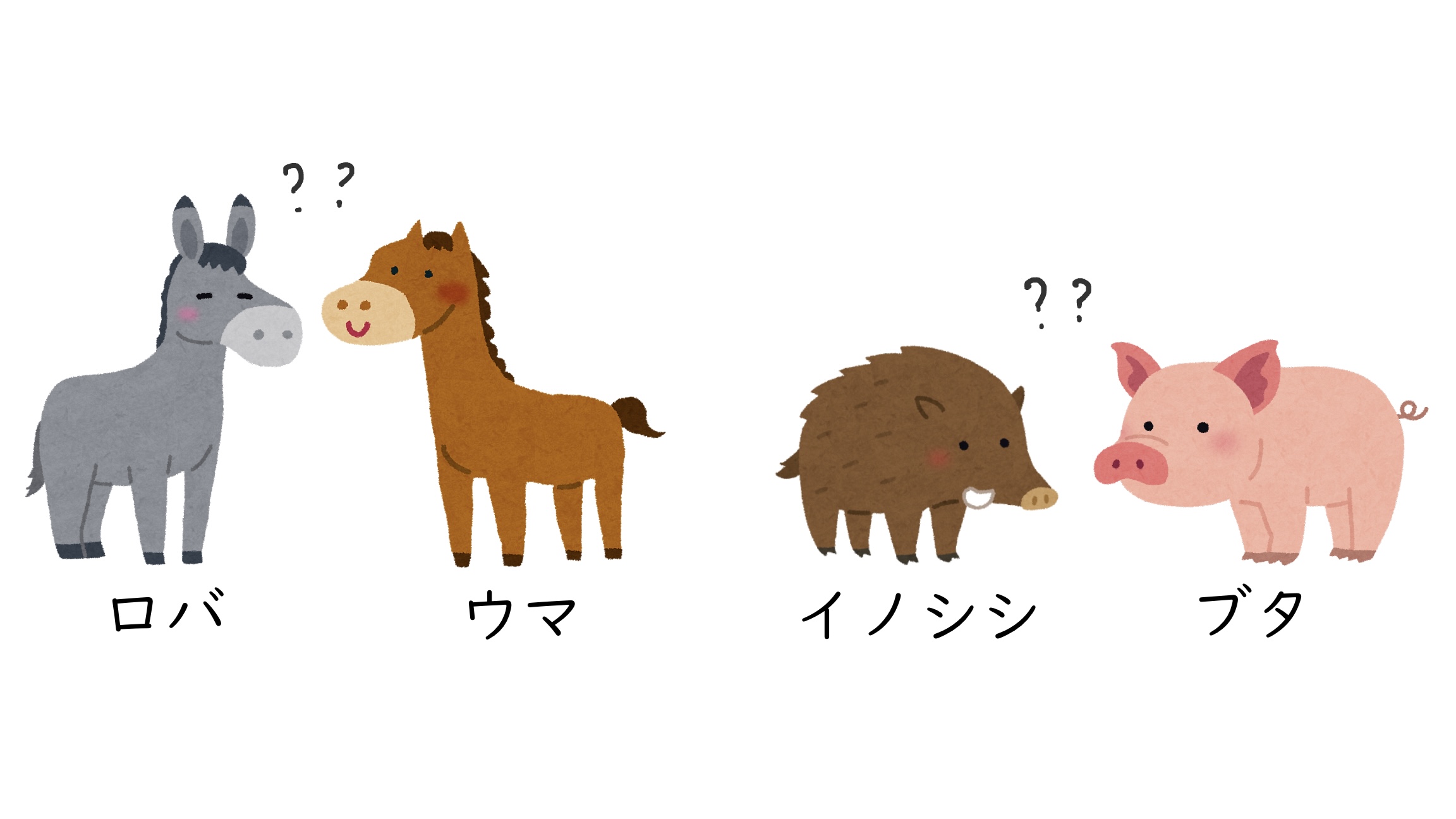 63A17CF37B824FEF921C1E5D7C97D3BE.jpeg