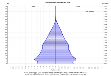 sPopulation by age in 2024.jpg