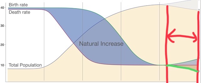 20250224_131307000_iOS 3.jpg