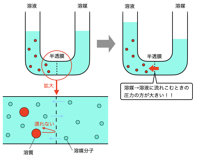 血液浸透圧検査にはどのようなリスクがありますか?