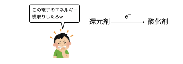 電池_1.png