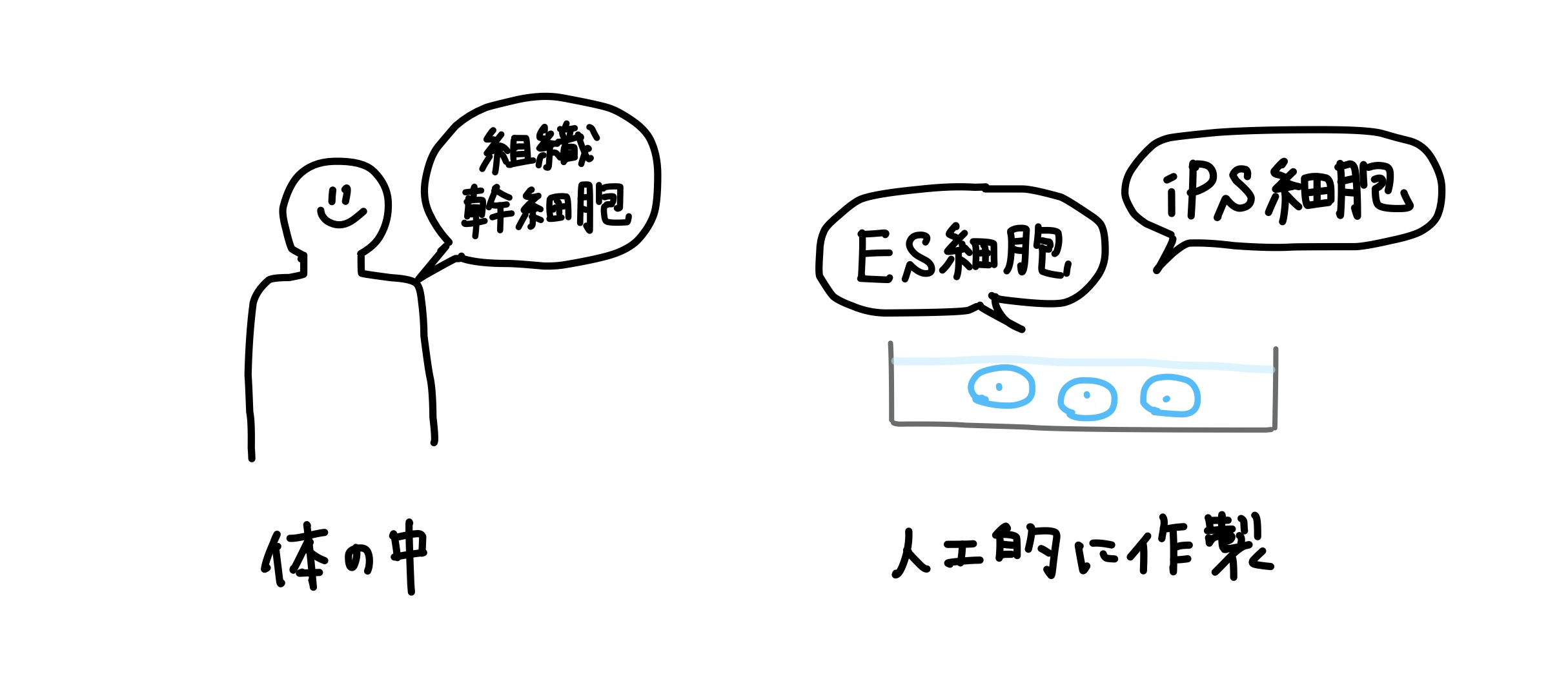 097A7271652846A79FEFBF2AB59E98B9.jpeg