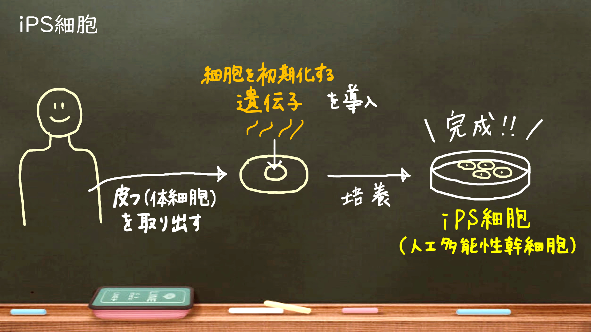 スクリーンショット 442.png