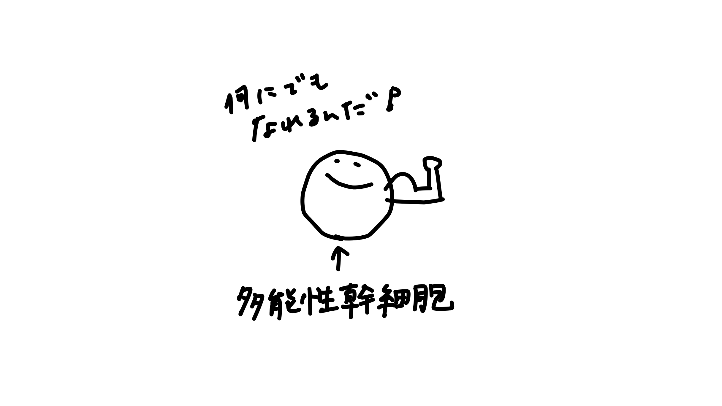 DE6248E404D64E54ADC8AB756D15B63F.png